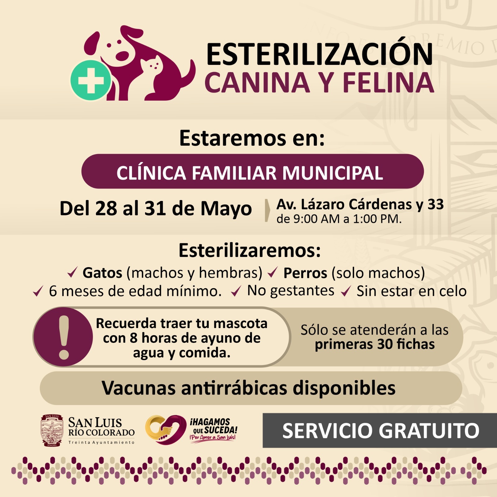 Llaman a esterilizar mascotas en jornada de Salud Pública